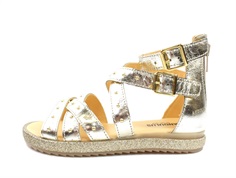 Angulus sandal gladiator champagne med nitter